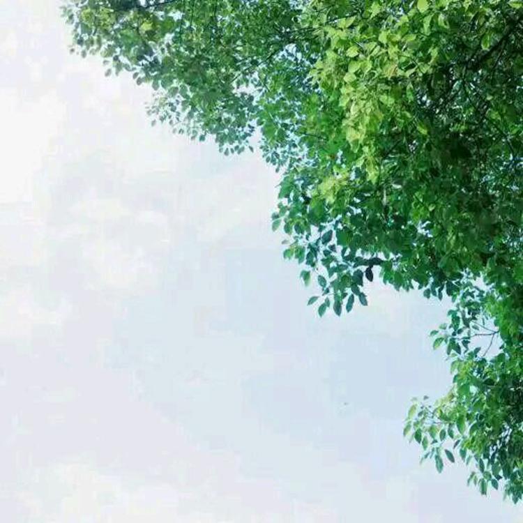 松见真一 - 日剧双语字幕在线观看 - 线上观影